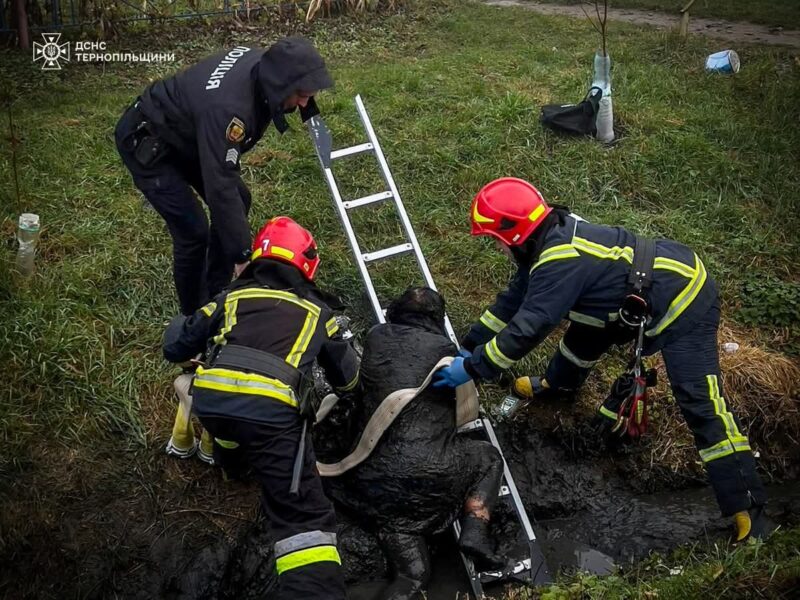 FB_IMG_1763112525317