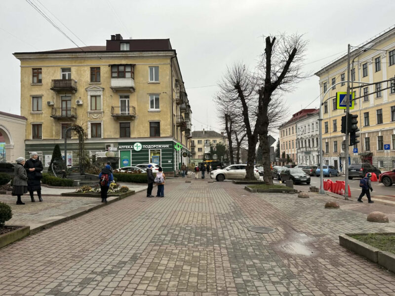 dereva-zrizannya-lip-27_11_25 (1)