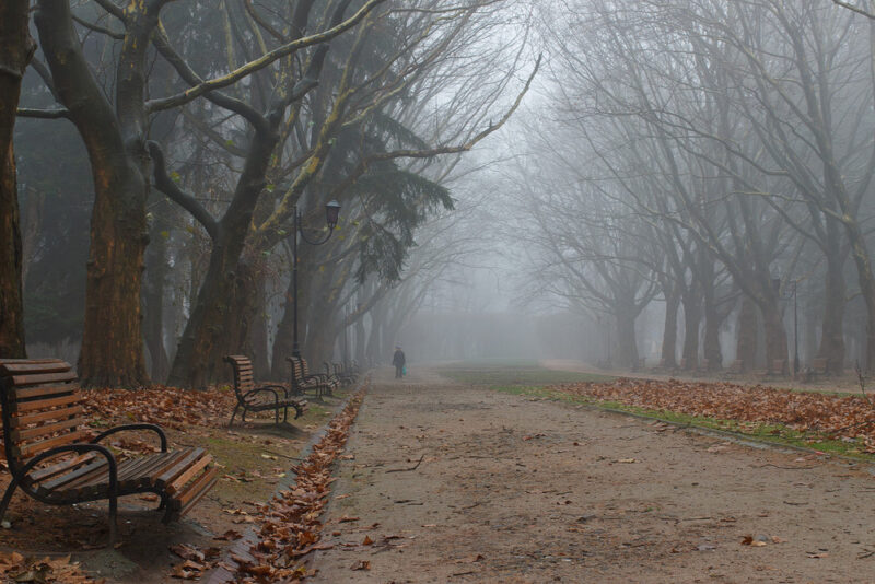 фото погода