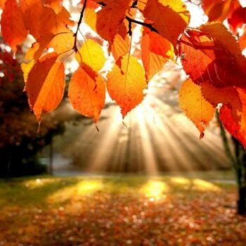 фото погода