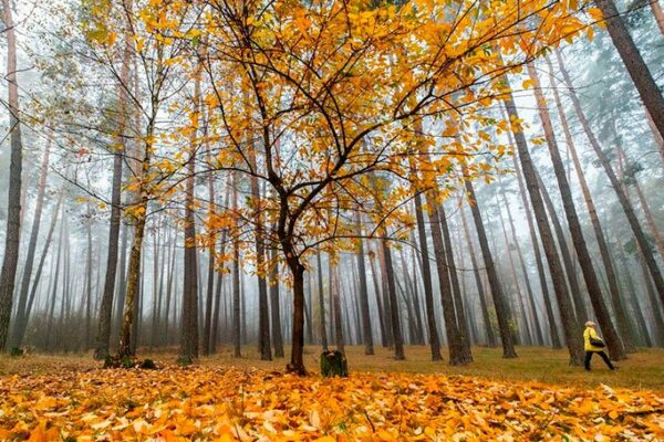 фото погода