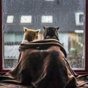 фото погода