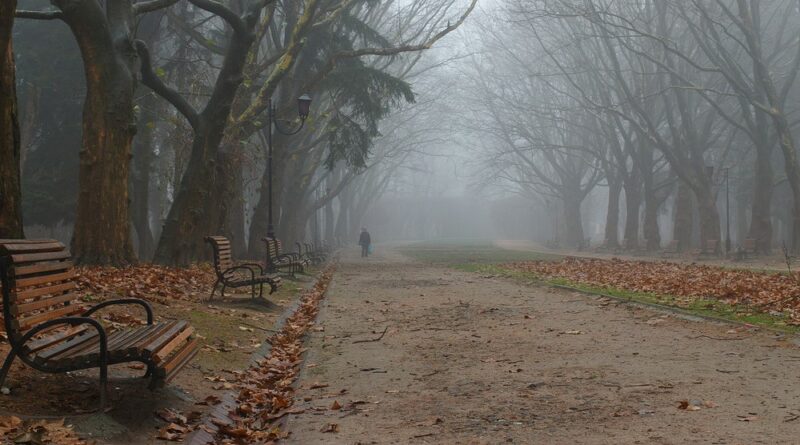 фото погода1