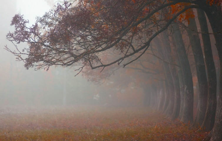 фото погодв