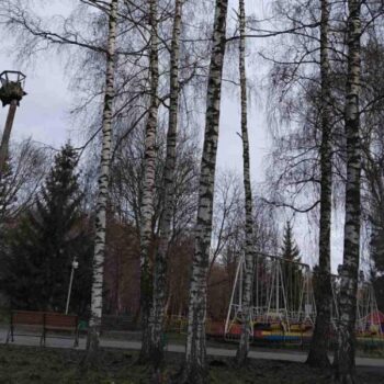 CREATOR: gd-jpeg v1.0 (using IJG JPEG v80), quality = 95?