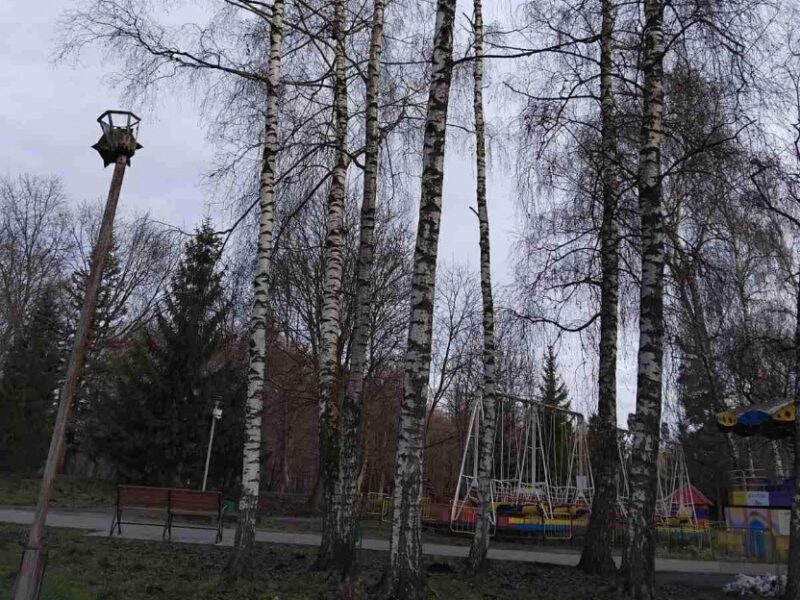 CREATOR: gd-jpeg v1.0 (using IJG JPEG v80), quality = 95?