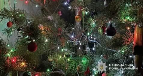 фото ялинка1