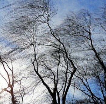 фото погода вітер