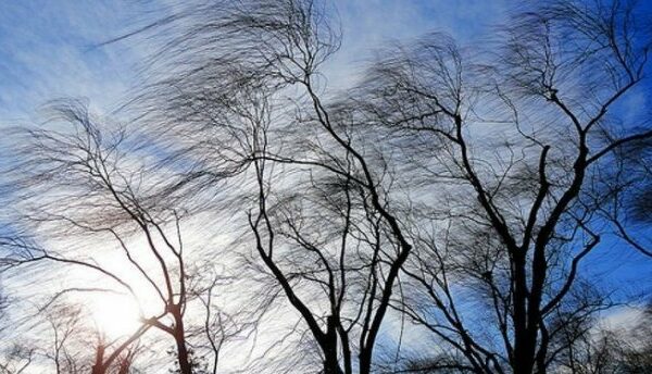 фото погода вітер