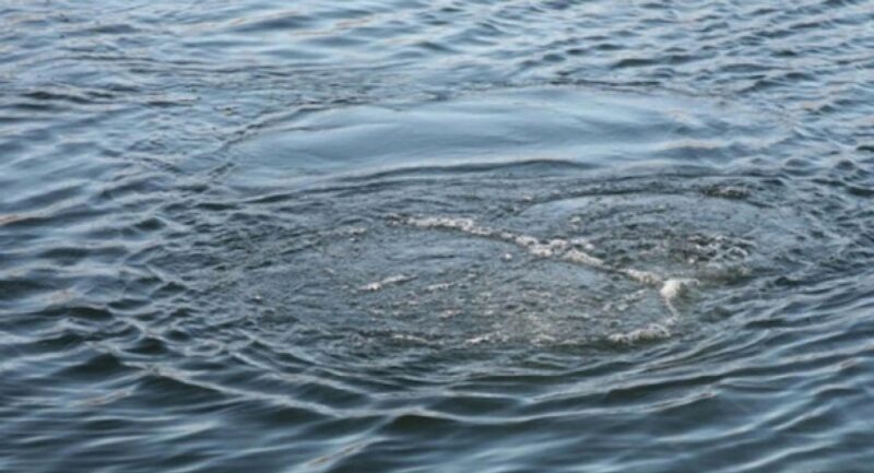 фото річка1