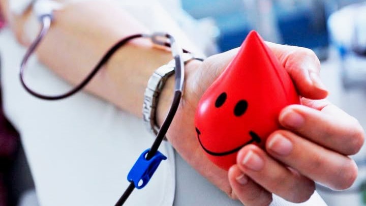 фото донор1