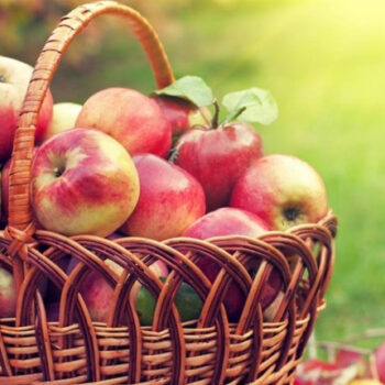 фото ябліка9999