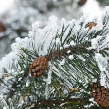 фото погода