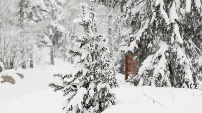 фото погода1