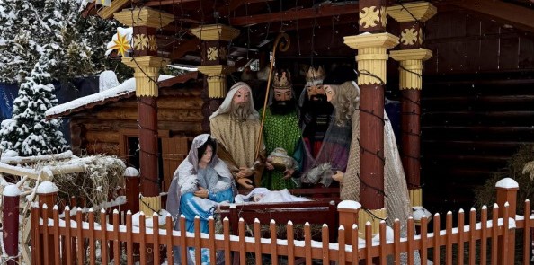 фото шопка2