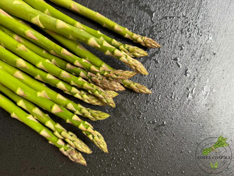 Добра Спаржа