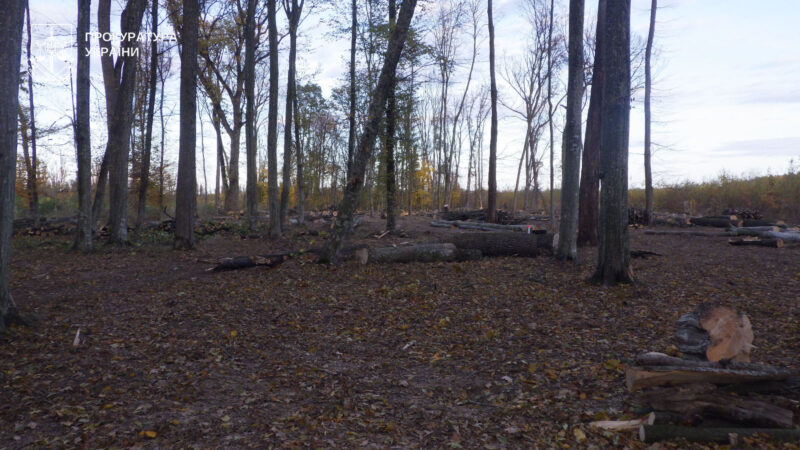 фото чортків