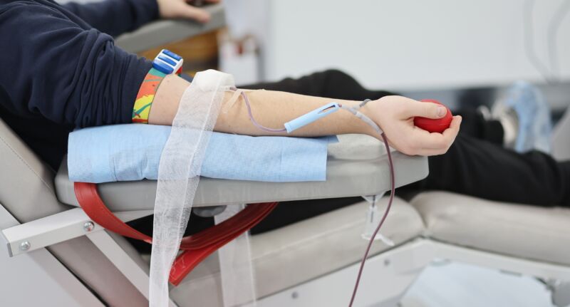 фото донори1