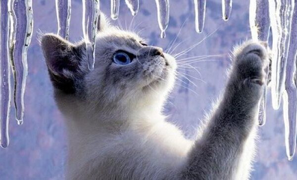 фото останній