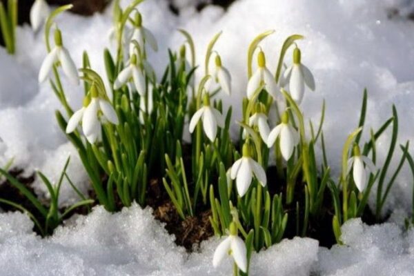 фото погода