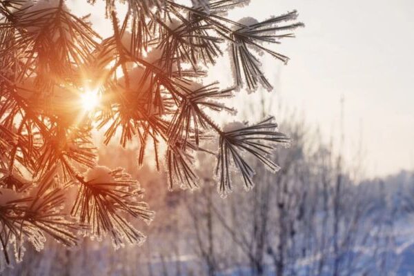 фото погода1