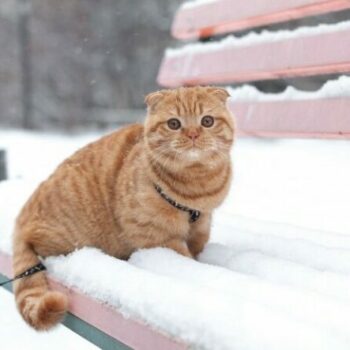 фото погода1