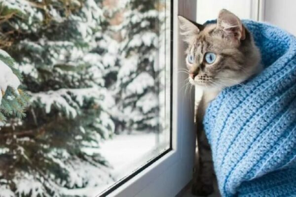 фото погода1