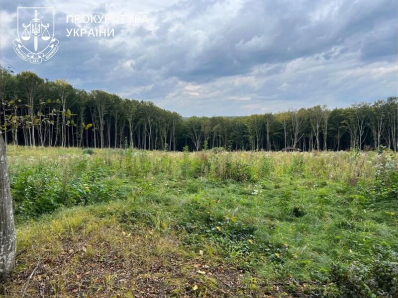 FB_IMG_1772705815453