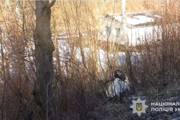 Screenshot_20260309_104614_Chrome