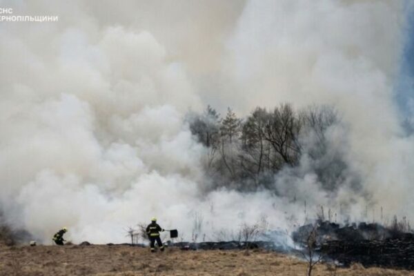 фото горіло1