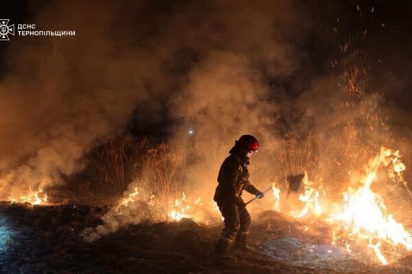 фото палії1