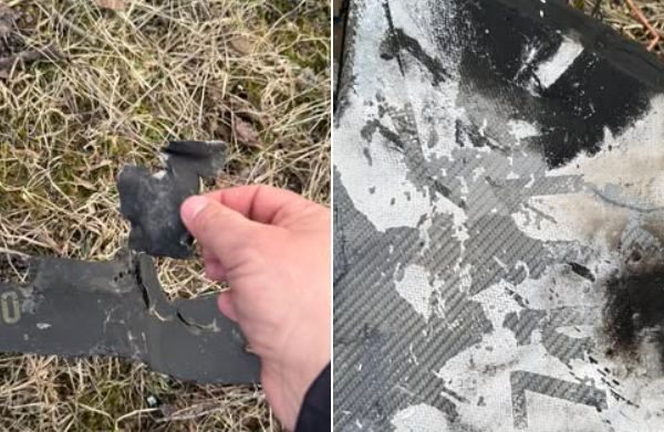 фото підгайці