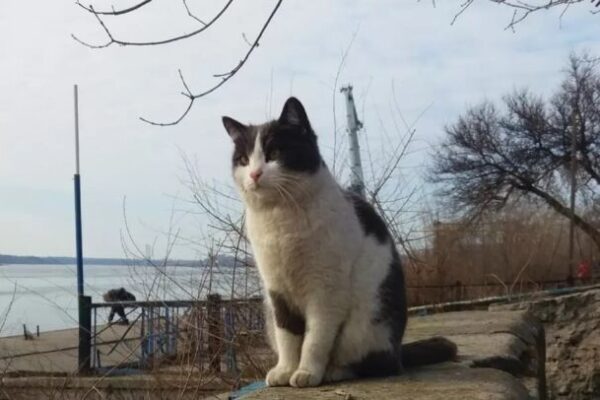 фото погда1