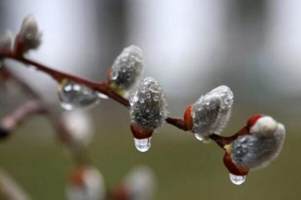 фото погода