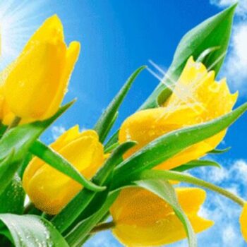 фото погода