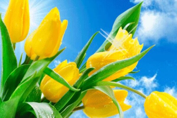 фото погода