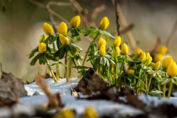 фото погода