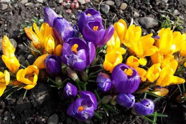 фото погода