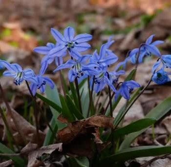 фото погода