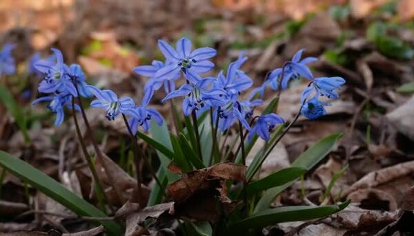 фото погода