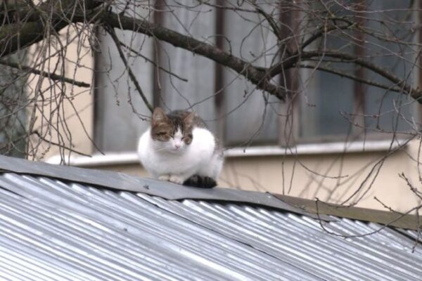 фото погода