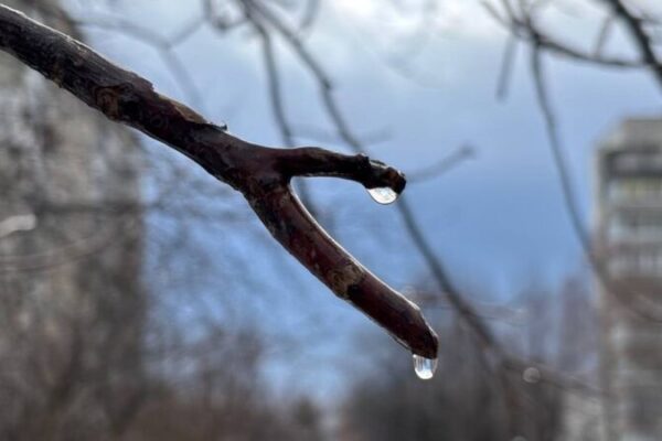 фото погода