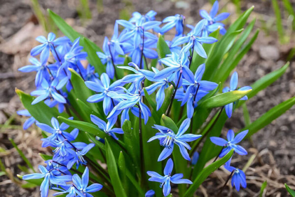 фото погода