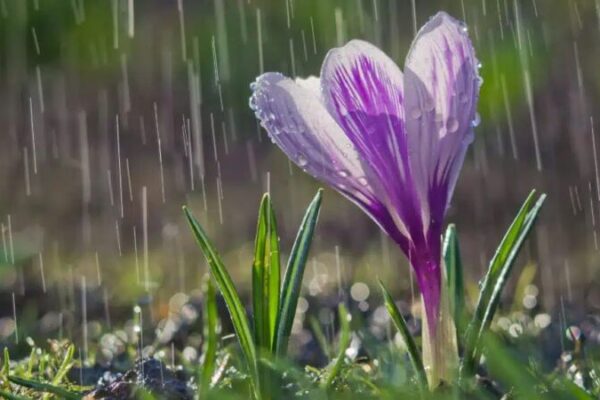 фото погода1