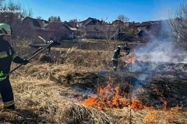 фото трава1