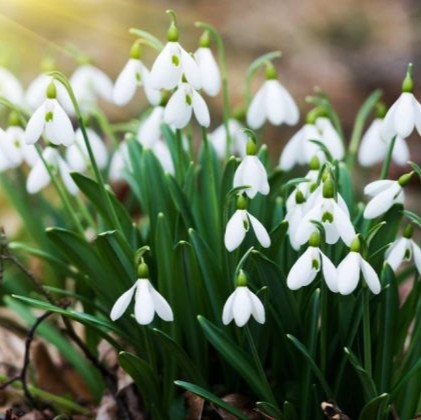 zaborona-prodagu-06_03_26