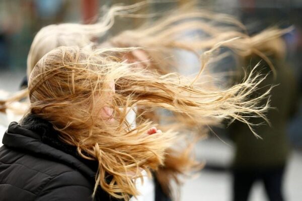 800_0_1581400971-9760