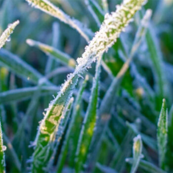 фото погода