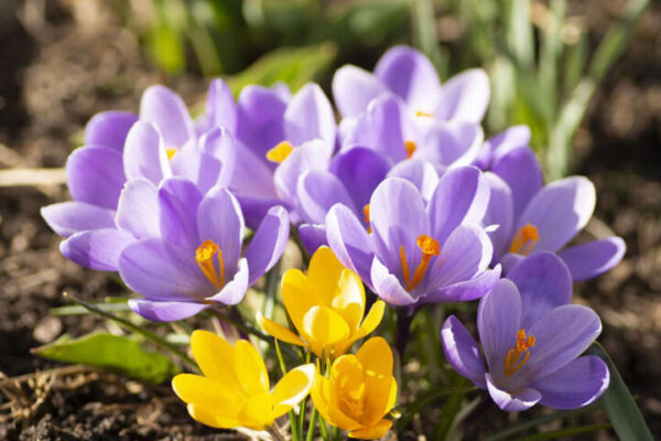 фото погода