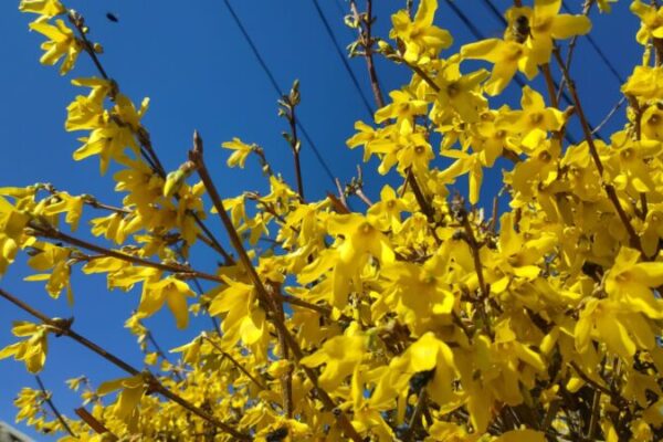 фото погода